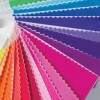 PANTONE FASHION + HOME Brights Swatch Card - Nylon Color